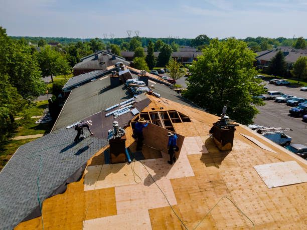 Best Storm Damage Roof Repair  in Wakefield, KS